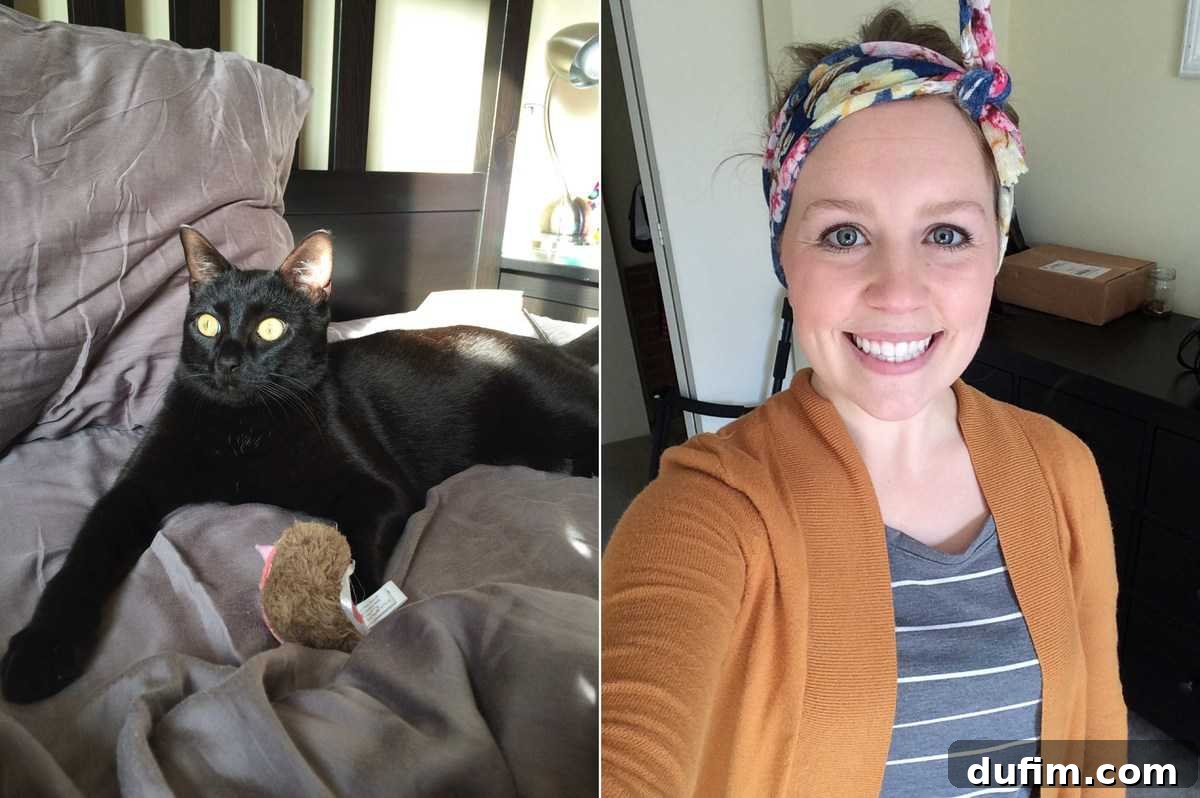 Concerned cat after a vet visit and a person wearing a soft patterned headband from Etsy