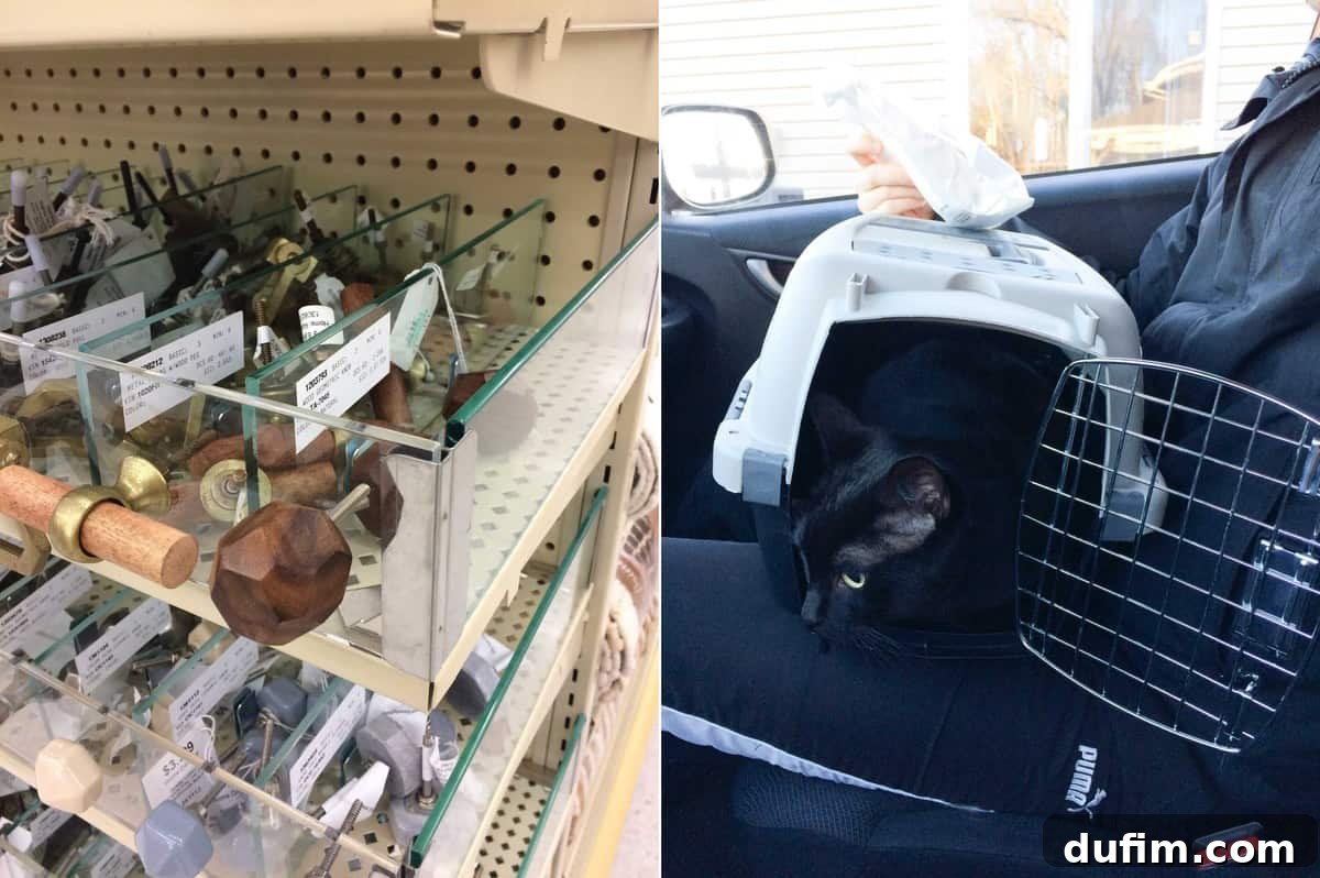 Decorative furniture knobs at Hobby Lobby and a sad-looking cat after vet trips