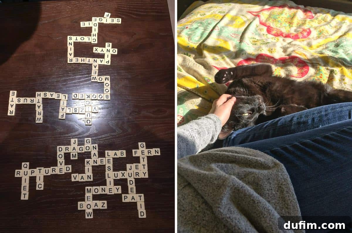 February 2017: Off the Menu 3 A candid moment from a date night playing Bananagrams, with a glimpse of our cat Salsa interrupting the game in a playful manner.
