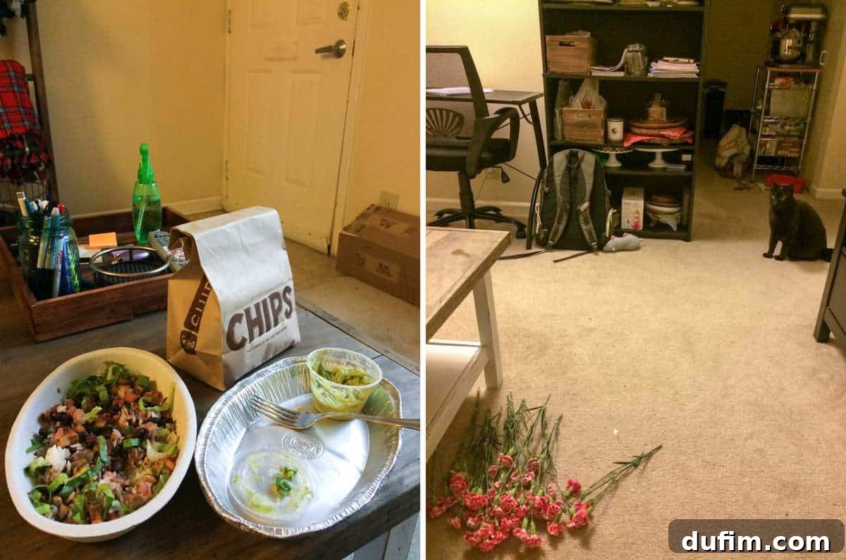 A delicious Chipotle meal and a photo of a broken glass vase with flowers, illustrating a pet mishap and Salsa's guilt.