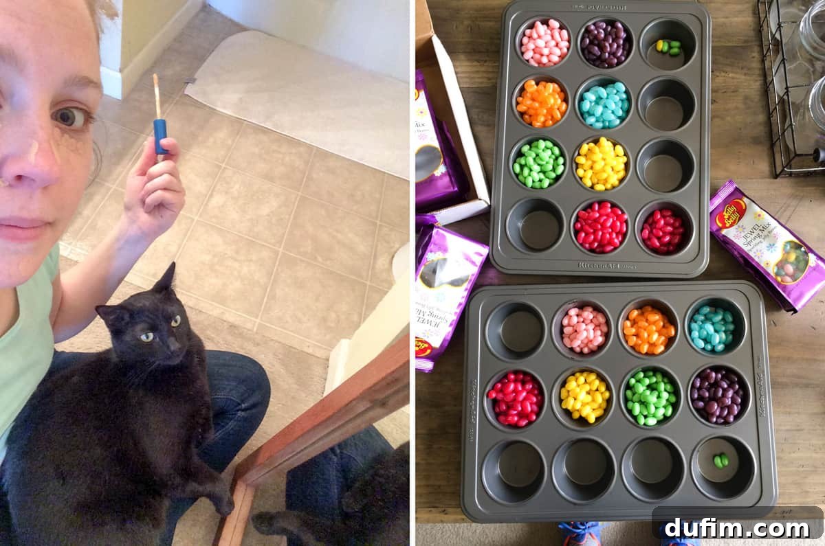 Beyond the Apron: April 2017 3 Salsa the cat relaxing in author's lap while applying makeup, and a pile of colorful jelly beans ready for sorting