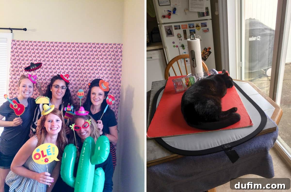 Beyond the Apron: April 2017 6 Friends celebrating Meg's 30th birthday fiesta with festive decorations and photo props, and Salsa the cat napping on photo equipment