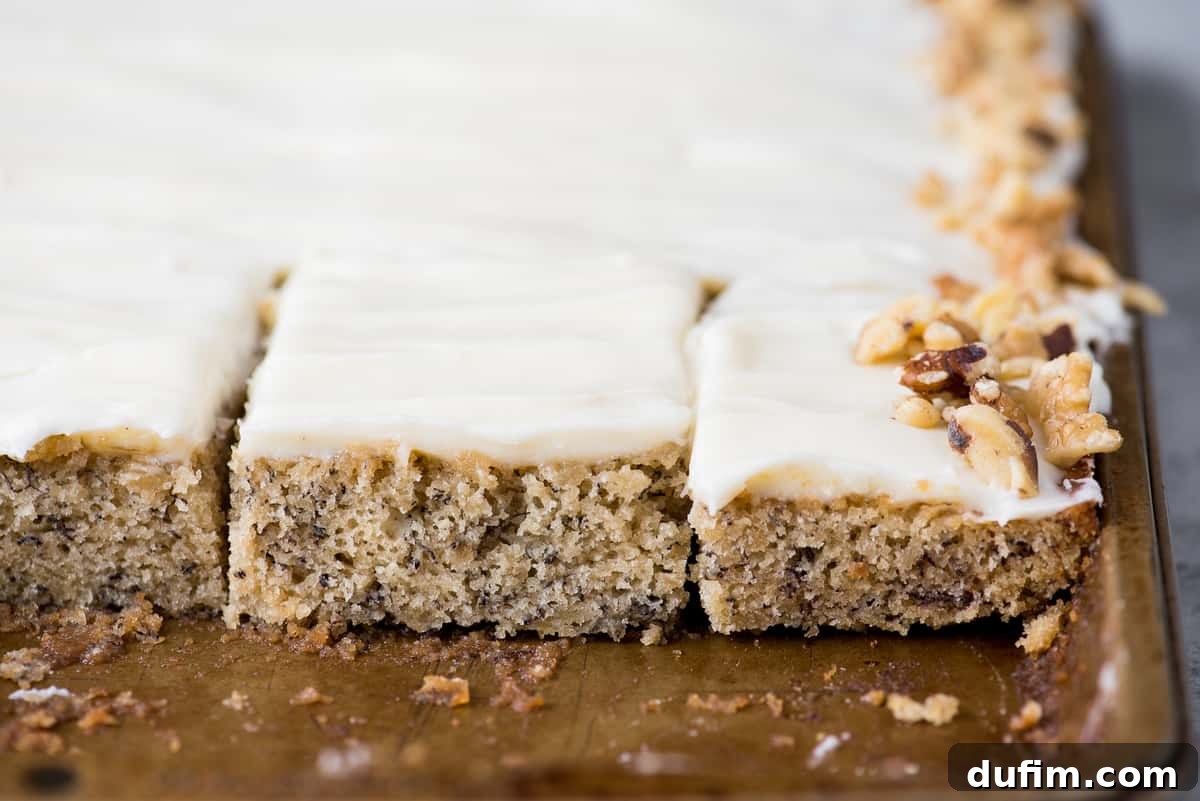 Chewy Banana Nut Bars 5 A full sheet pan of banana bars topped with fluffy cream cheese frosting and walnuts, ready to be cut.
