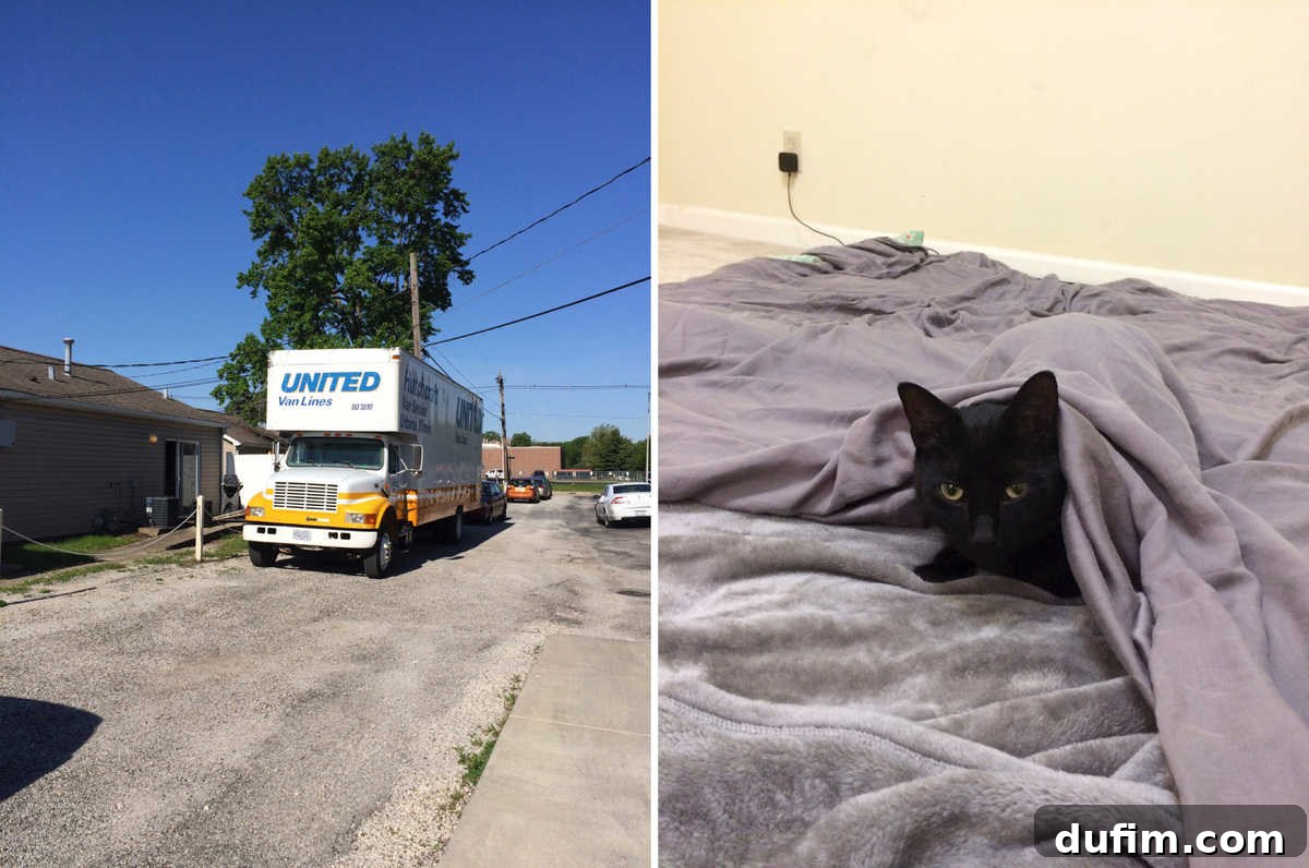 Two scenes from moving day: A massive moving truck parked outside our small, beloved house in Illinois, and a humorous interior shot of our dog, Salsa, enjoying a 'slumber party' on the floor after the bed was moved, with boxes around.