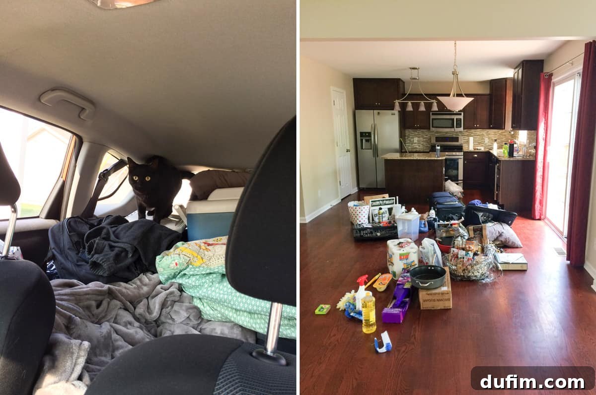 Two humorous moving day scenes: A car packed to the brim with belongings, resembling a game of Tetris, showcasing the challenge of fitting everything in, and the same car's contents neatly arranged in our new Michigan kitchen.