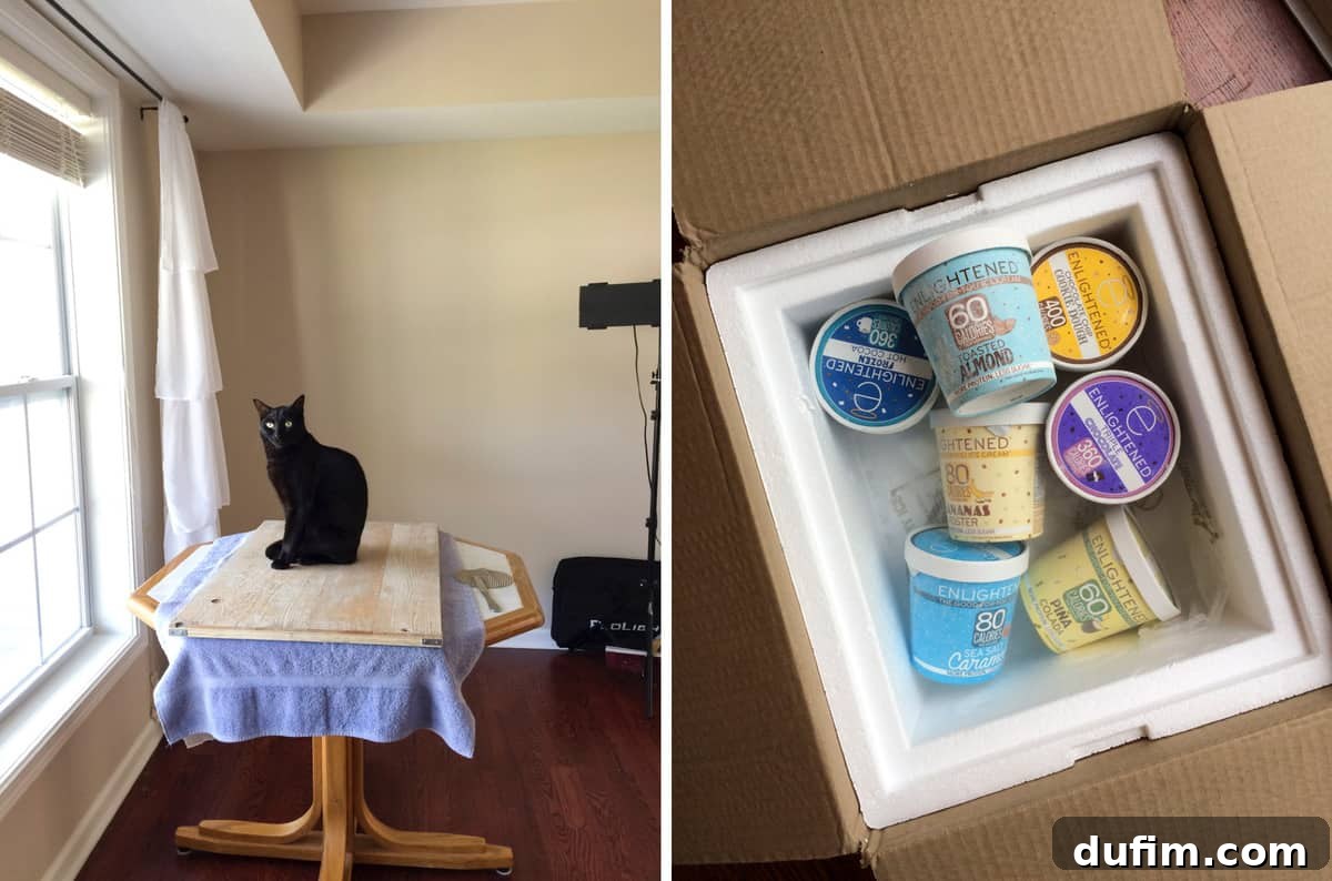 June 2017: Beyond the Kitchen 9 Salsa the cat striking a dramatic pose for the camera, followed by a delivery of Enlightened high-protein ice cream