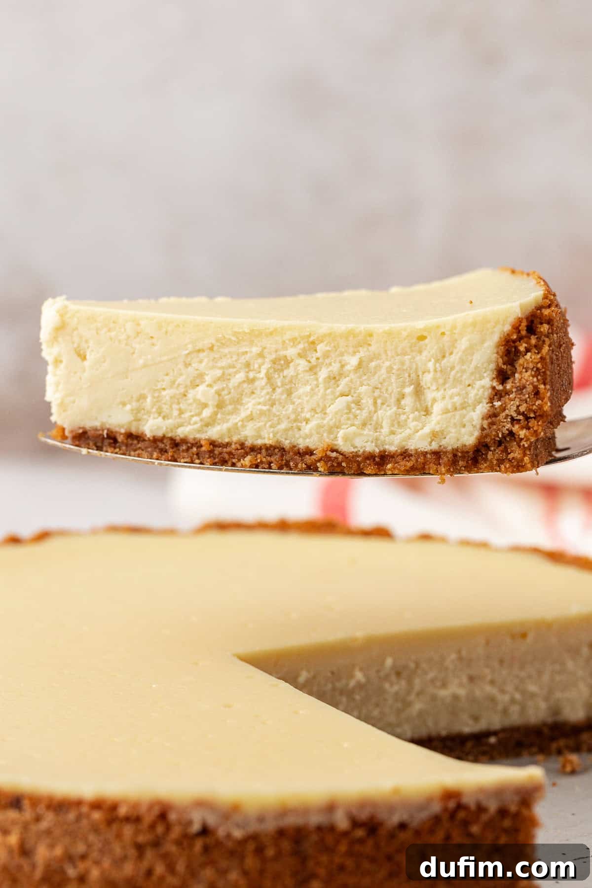 A single slice of perfectly baked plain cheesecake, presented on a pie server, showcasing its creamy texture and golden graham cracker crust.
