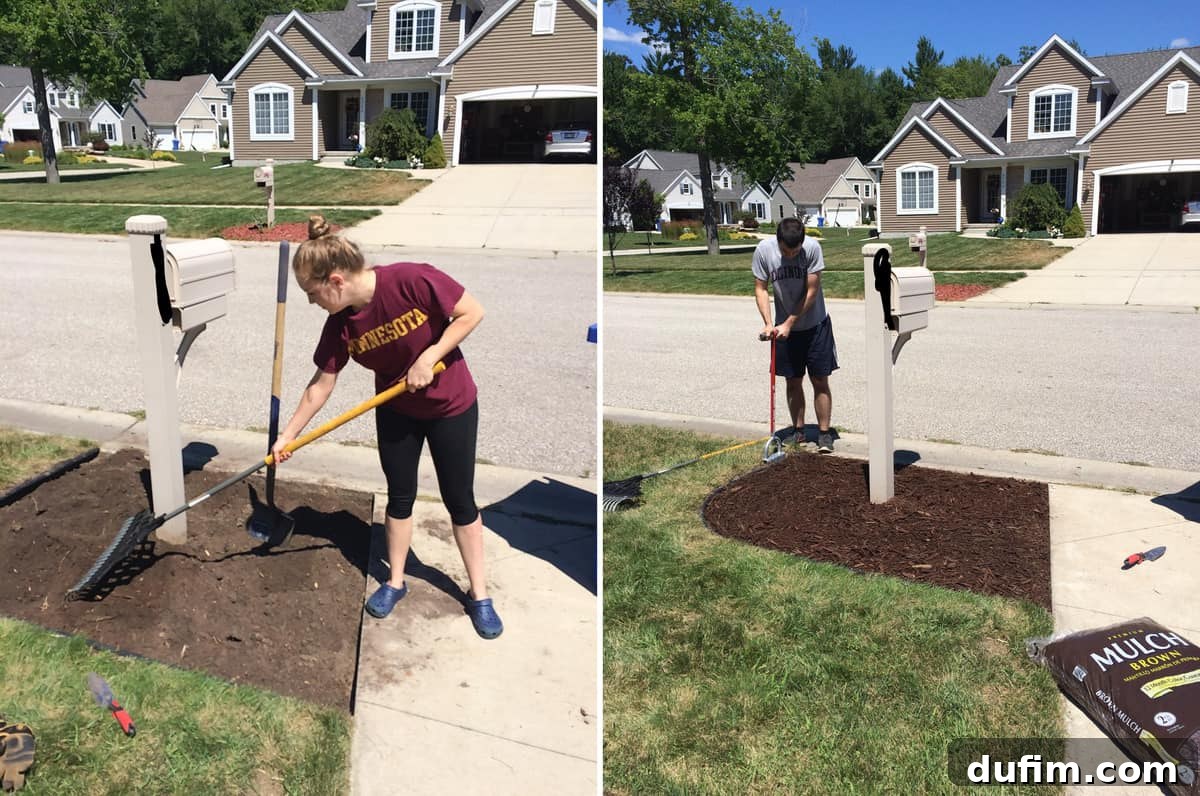 A freshly mulched garden bed by a residential mailbox, looking neat and tidy after clearing