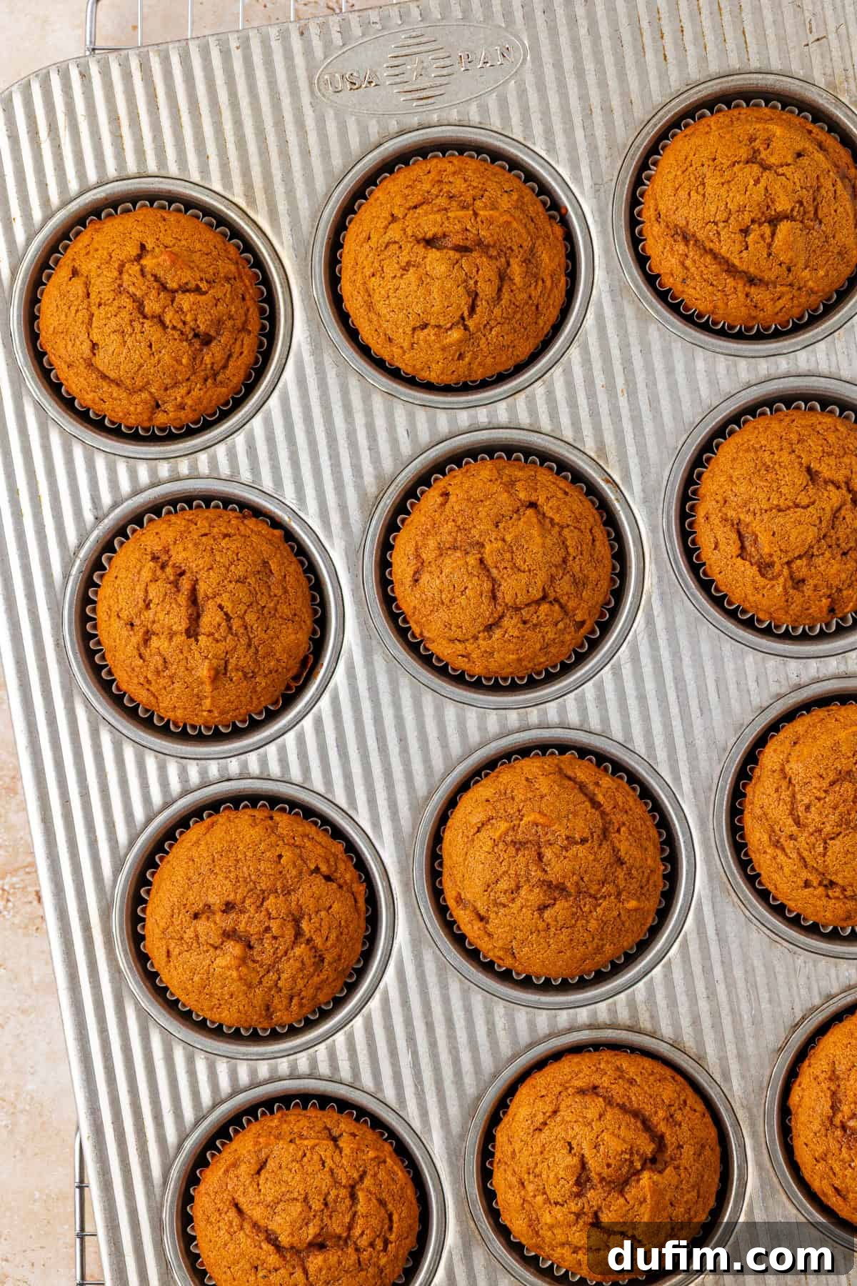 A muffin tin filled with freshly baked golden-brown muffins, each in a black paper liner, resting on a cooling rack.