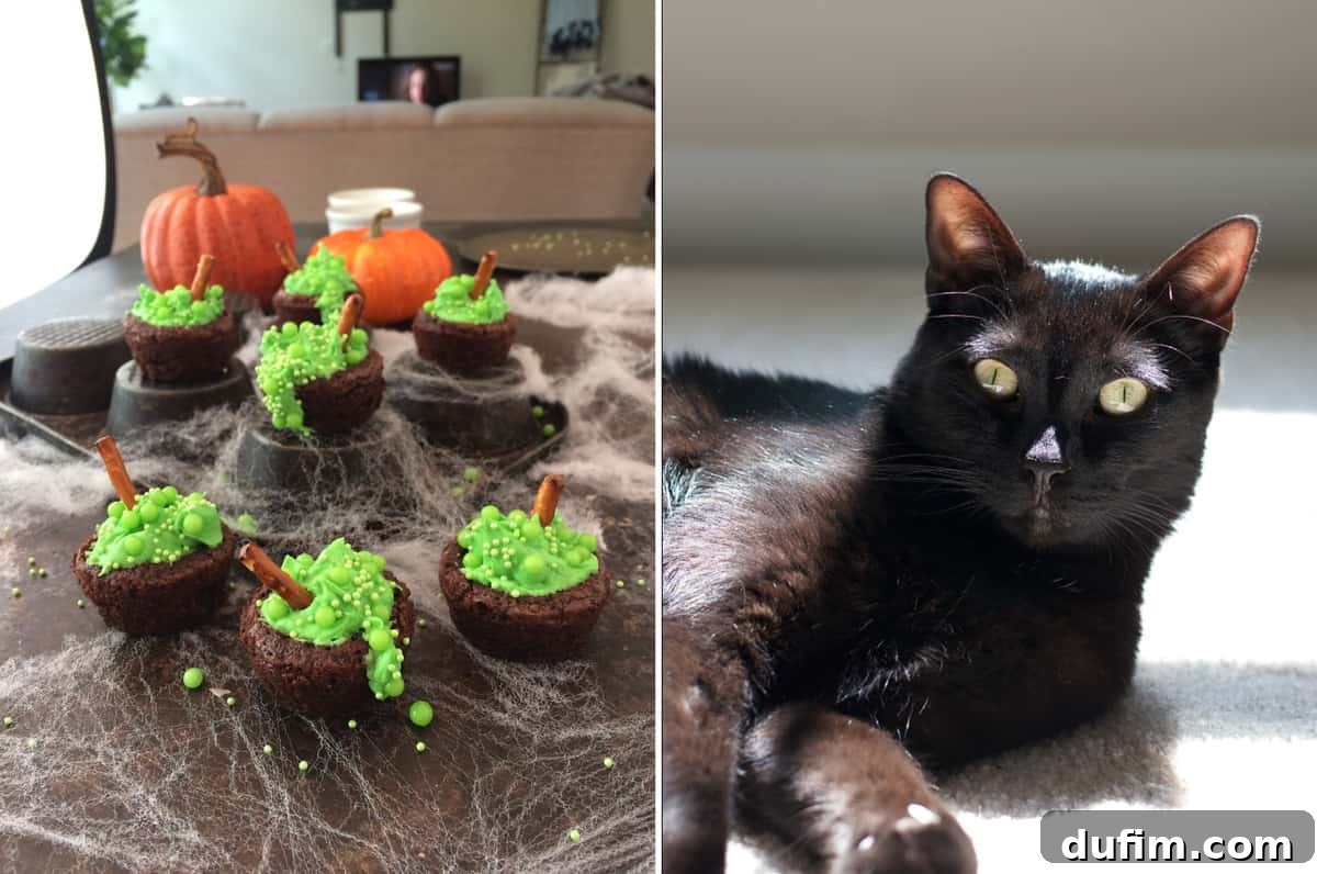 A close-up of bubbling witch's cauldron brownies decorated for Halloween, followed by a sweet photo of our dog, Salsa, posing for the camera