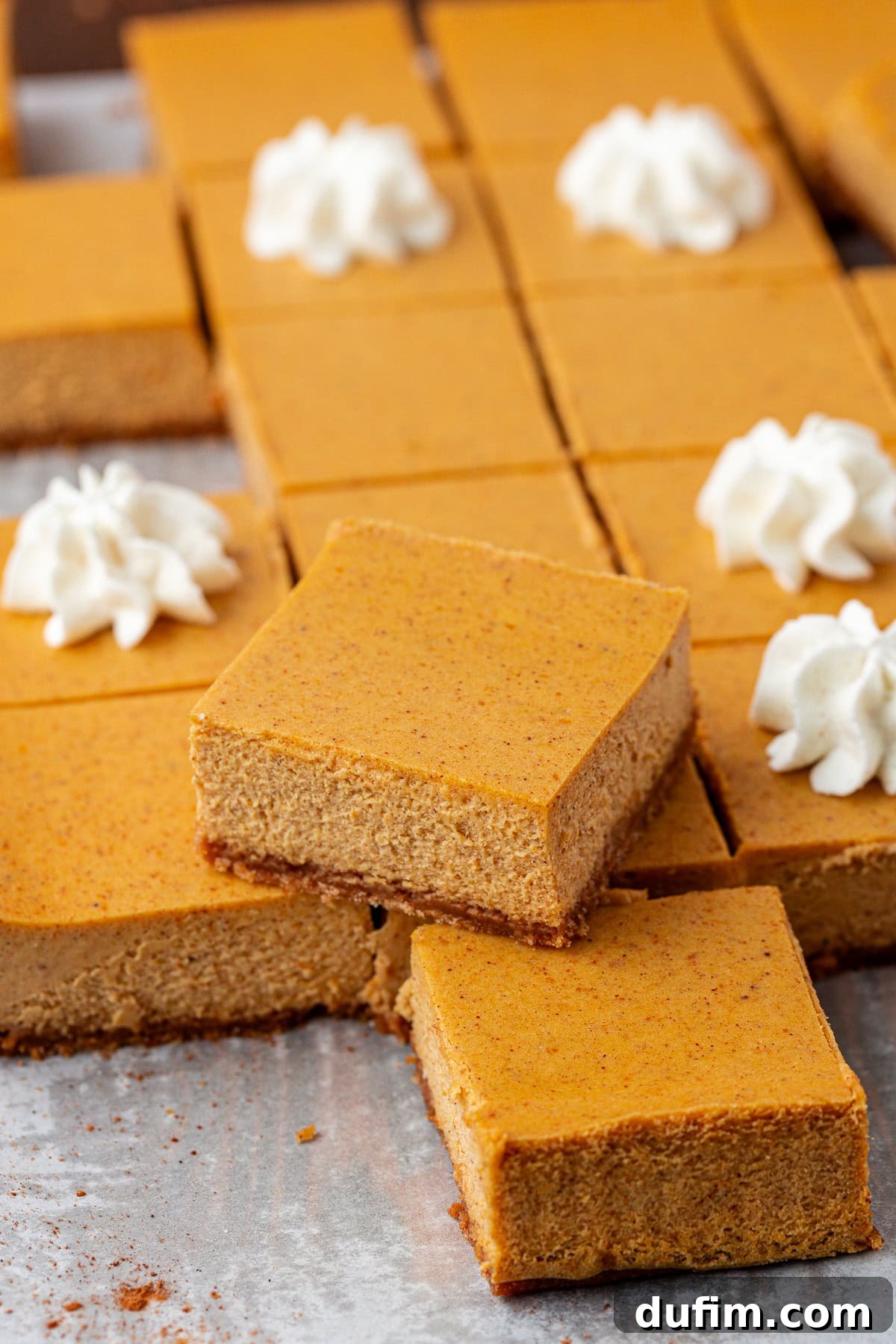 Spiced Pumpkin Cheesecake Squares 21 Pumpkin cheesecake bars arranged on a baking sheet, some topped with a swirl of whipped cream. The bars have a smooth, creamy orange surface and are cut into neat squares, showcasing their perfect texture and presentation.