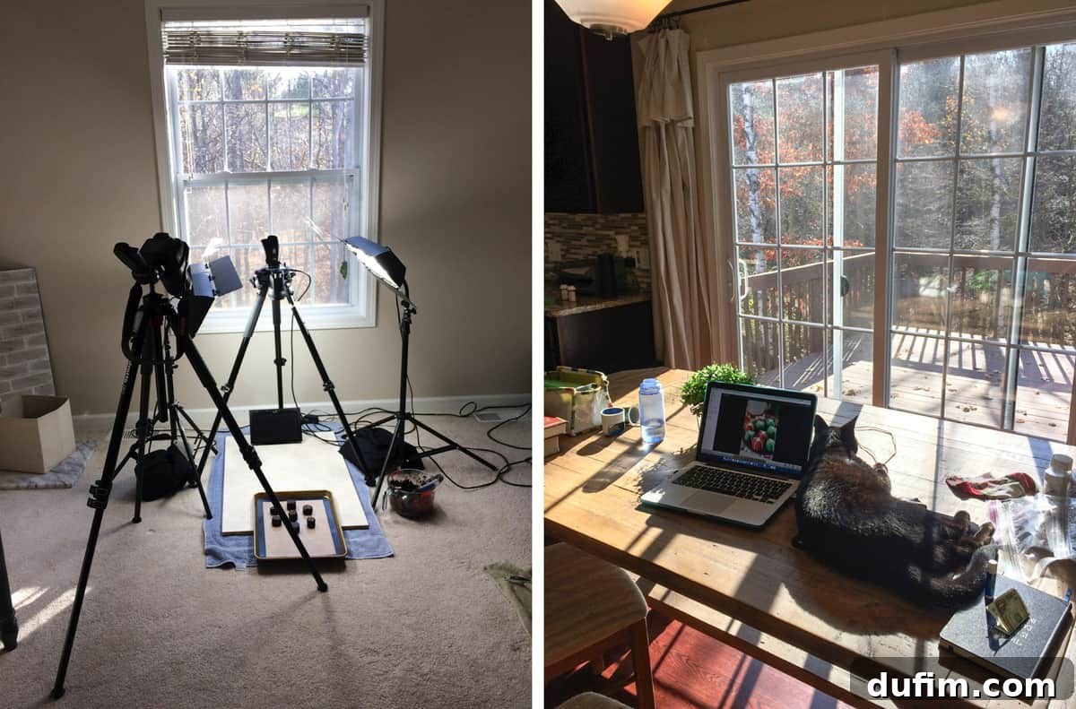 November's Gastronomic Adventures 3 Video filming equipment set up in an office next to a window, and a cat named Salsa napping on a computer mouse in sunlight.