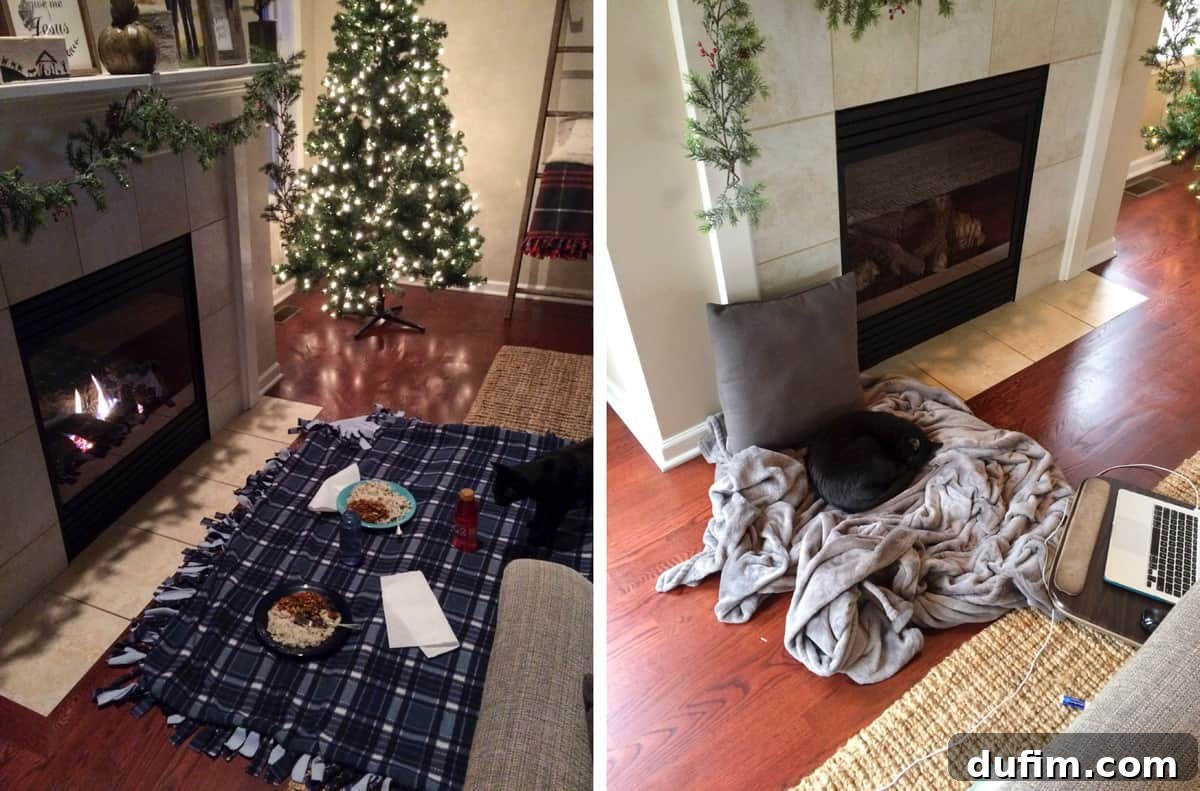 November's Gastronomic Adventures 5 A cozy dinner setup in front of a fireplace, and a cat named Salsa relaxing in front of a fireplace.