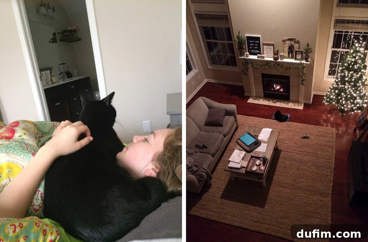 November's Gastronomic Adventures 8 A cat named Salsa sleeping across a person's neck, and a cozy living room at night with a cat in front of a fireplace.