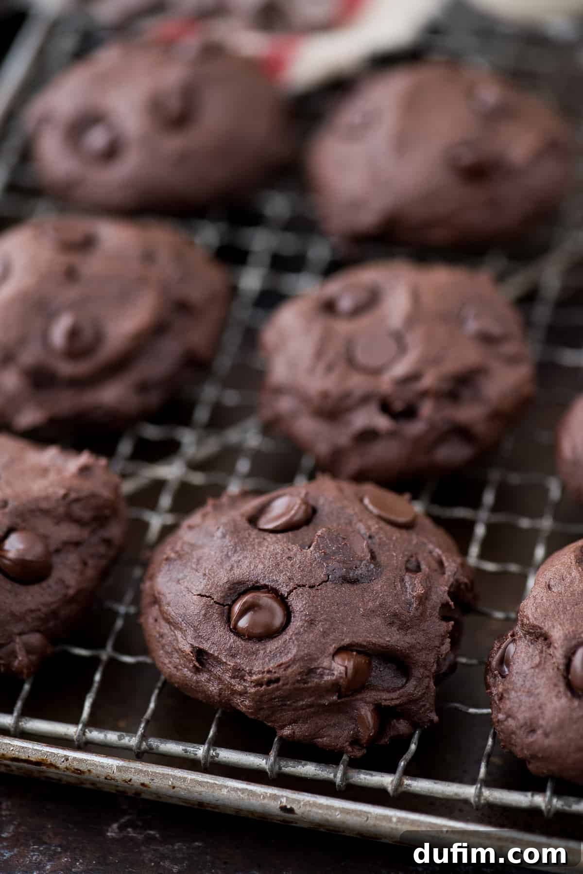 Healthier Dark Chocolate Coconut Oil Cookies - A Guilt-Free Indulgence Eight healthier dark chocolate coconut oil cookies with chocolate chips on a cooling rack, glistening under soft light.