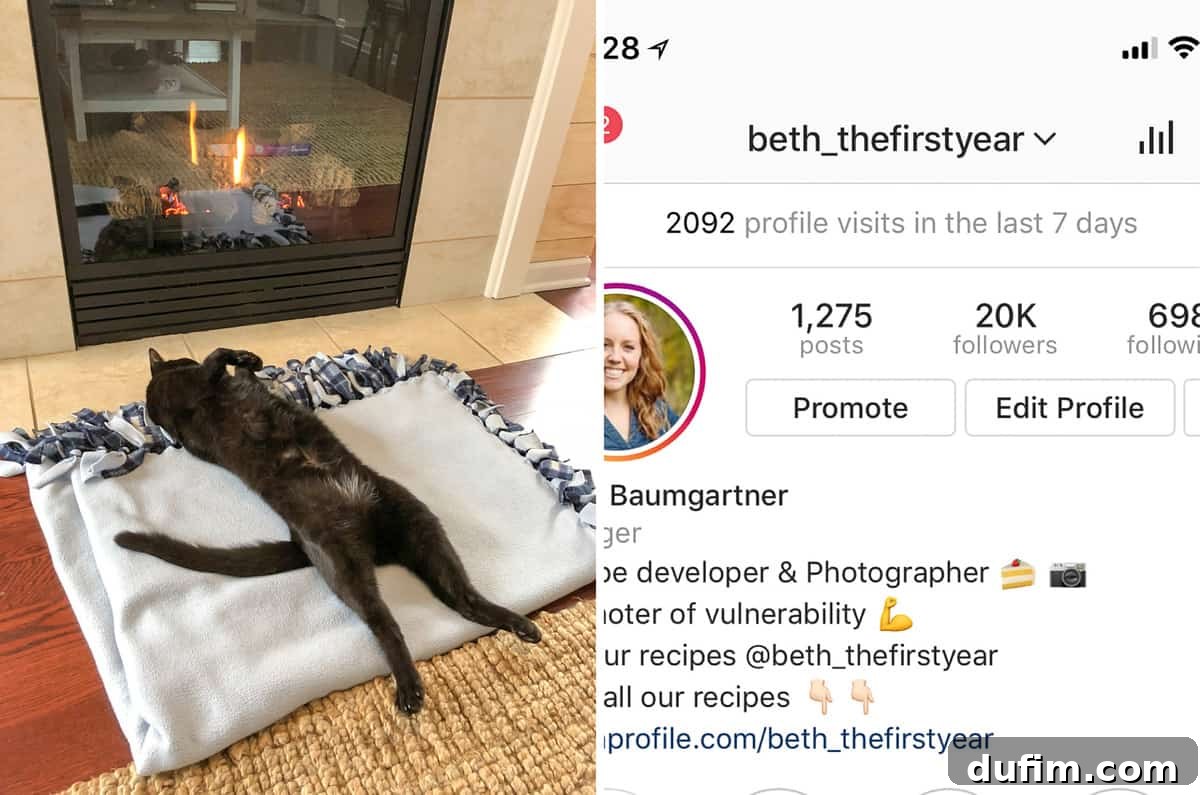 February's Off-Menu Moments 10 Salsa the cat relaxing in his favorite spot on a cozy blanket