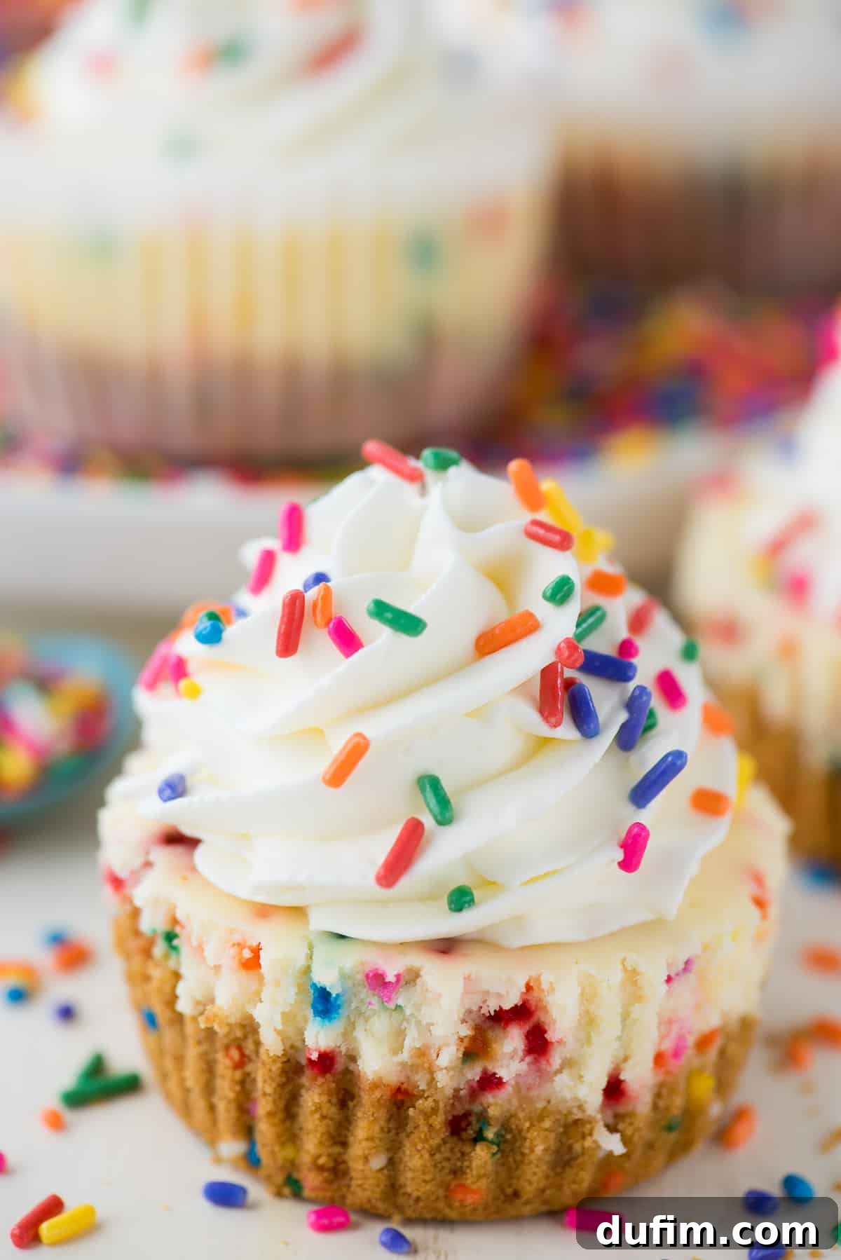 Exquisite mini funfetti cheesecake adorned with a generous topping of rainbow sprinkles, presented against a soft, light background.