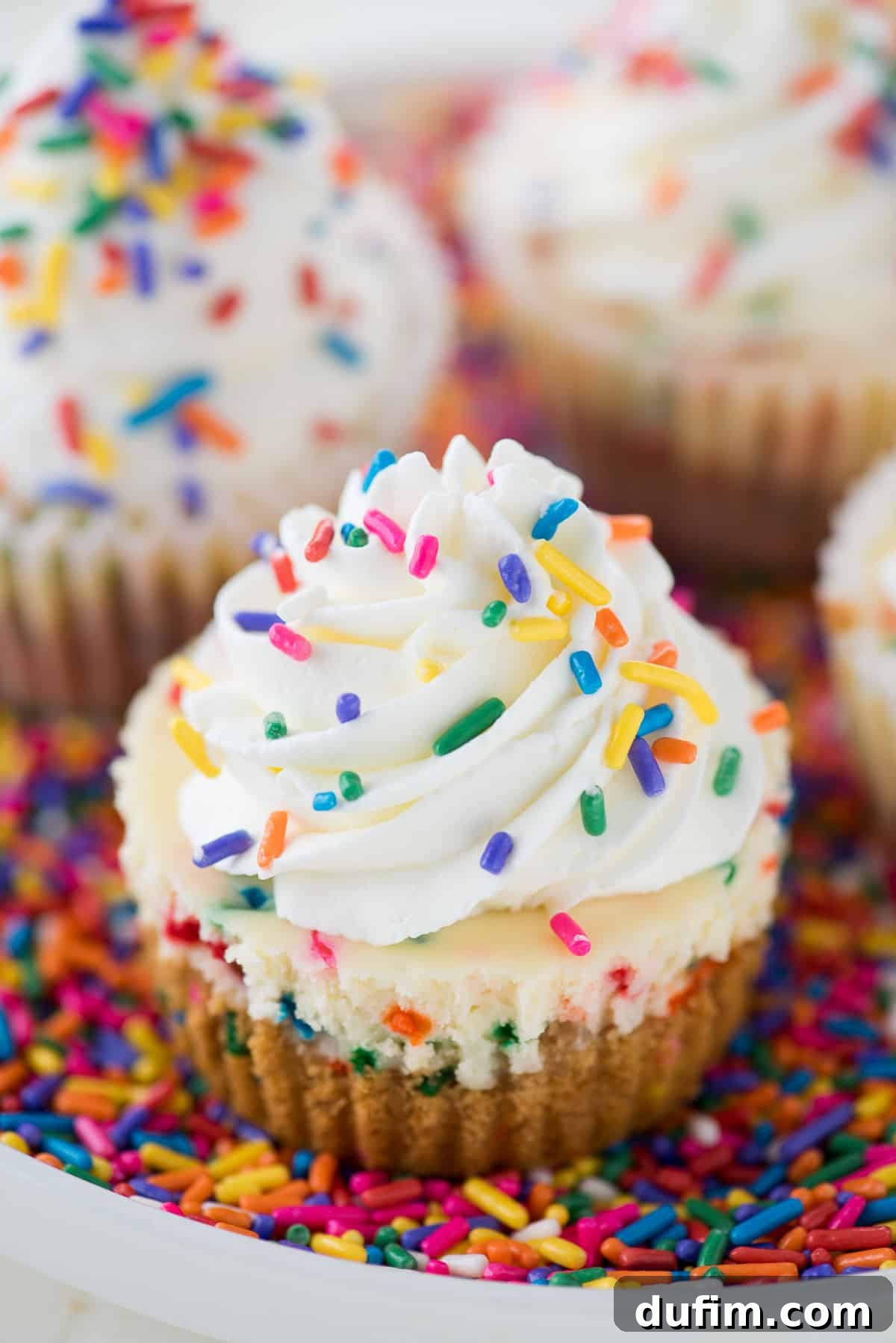 A festive mini funfetti cheesecake, topped with an abundance of rainbow sprinkles, resting on a small plate surrounded by more colorful sprinkles, embodying sheer dessert happiness.