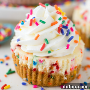 A charming mini funfetti cheesecake, decorated with a swirl of white frosting and colorful sprinkles, embodying a festive and delicious dessert.