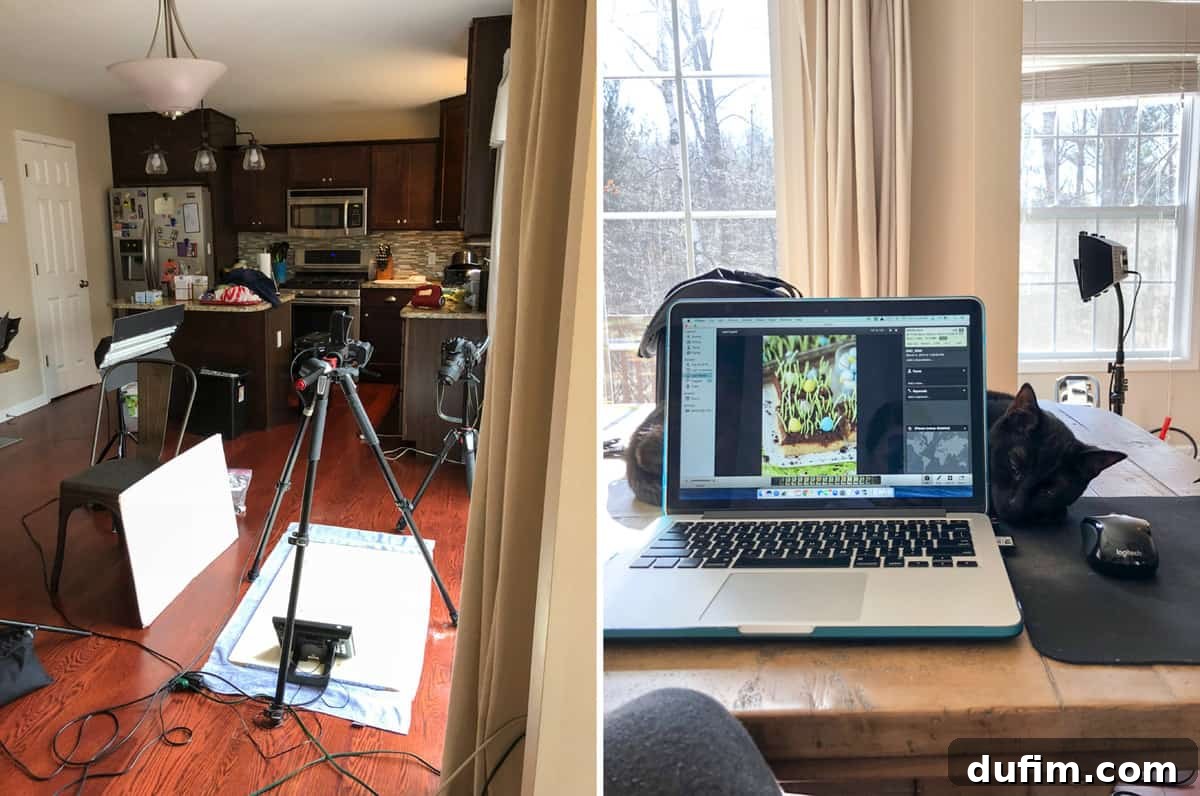 Blogger setting up camera equipment in a bright kitchen next to a patio door for a video shoot, highlighting the challenges of finding good natural light.