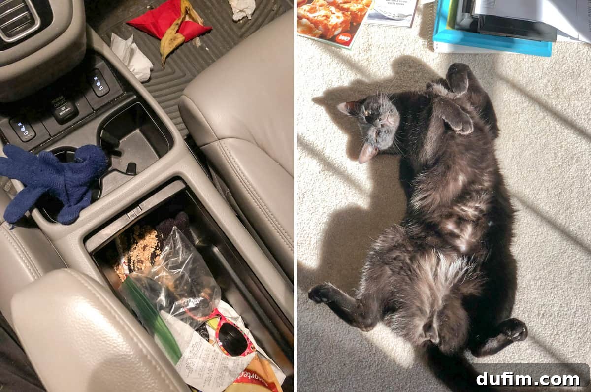 Granola spilled in a car console while driving, showing a resourceful recovery and subsequent cleanup.