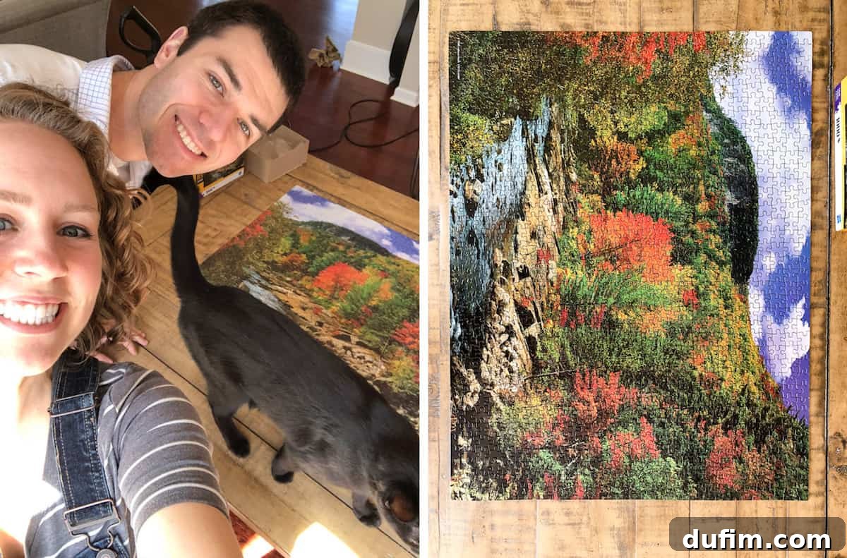 Beyond the Burner: April 7 Our finished jigsaw puzzle featuring a detailed forest scene