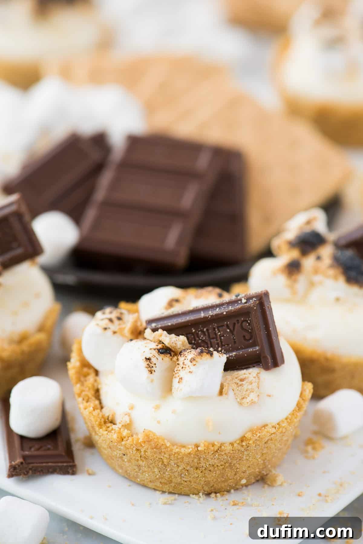 Dreamy Smores No-Bake Cheesecake Delights 2 A beautifully presented no-bake s'mores cheesecake cup with a golden graham cracker crust, a luscious white marshmallow cheesecake filling, and topped generously with toasted mini marshmallows and a piece of Hershey's chocolate.