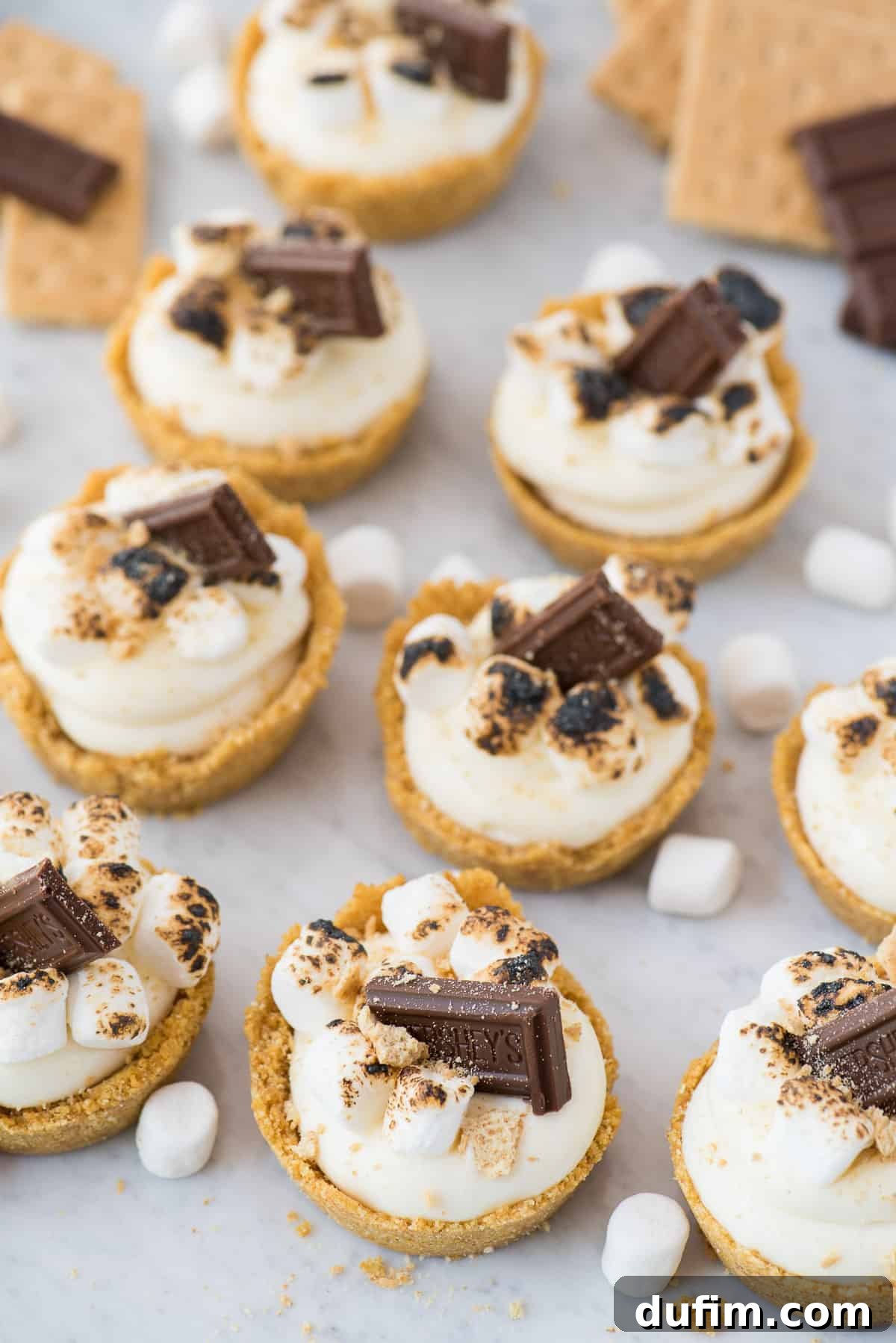 Dreamy Smores No-Bake Cheesecake Delights 3 Close-up shot of several no-bake s'mores cheesecake cups, showing the fluffy marshmallow cheesecake filling and golden-brown toasted marshmallows on top, with melted chocolate squares.