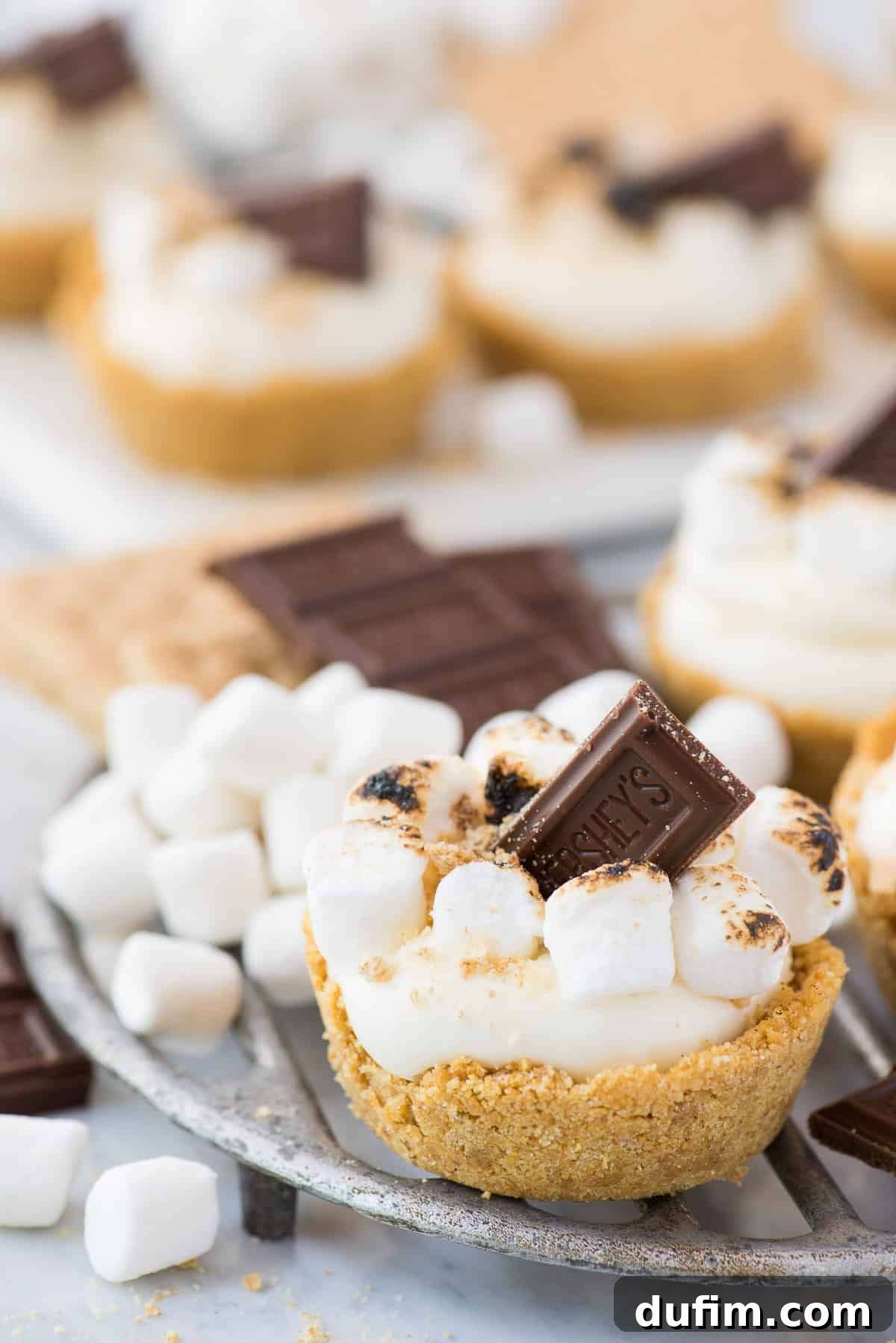 Dreamy Smores No-Bake Cheesecake Delights 4 A collection of no-bake s'mores cheesecake cups on a white tray, each featuring a golden graham cracker crust, a swirl of creamy filling, and topped with toasted mini marshmallows, chocolate, and extra graham crumbs, ready for serving.