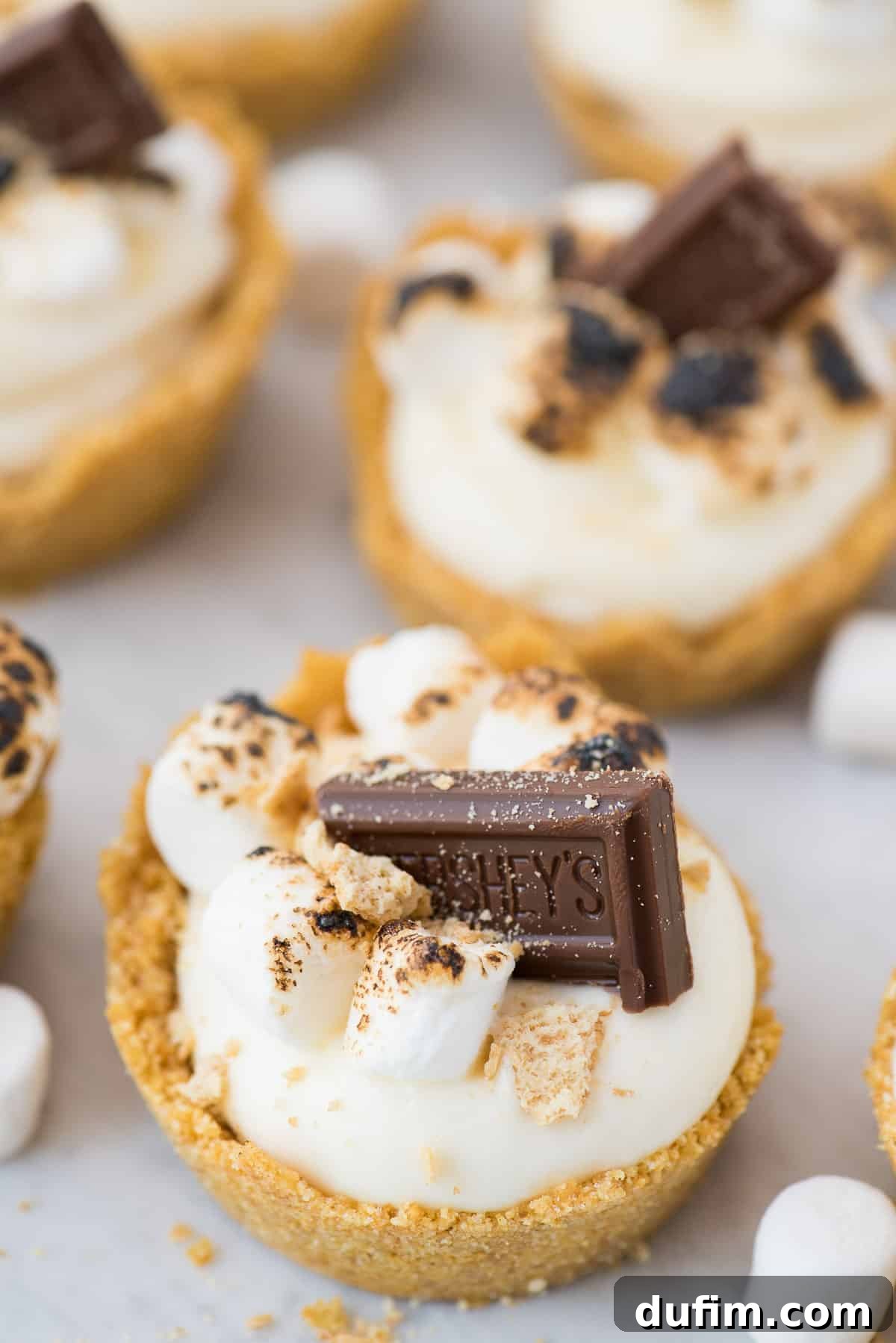 Dreamy Smores No-Bake Cheesecake Delights 5 A single no-bake s'mores cheesecake cup held in hand, showcasing the thick graham cracker crust, the smooth cheesecake filling, and the perfectly toasted mini marshmallows on top with a piece of chocolate, ready to be enjoyed.