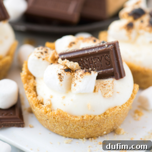 A no bake smores cheesecake mini dessert with a graham cracker crust, creamy filling, toasted marshmallows, and Hershey’s chocolate on top, surrounded by extra mini marshmallows and chocolate pieces.