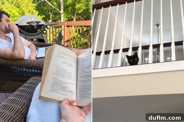 Person reading a book on a deck in the evening, with a curious cat peering through the railing