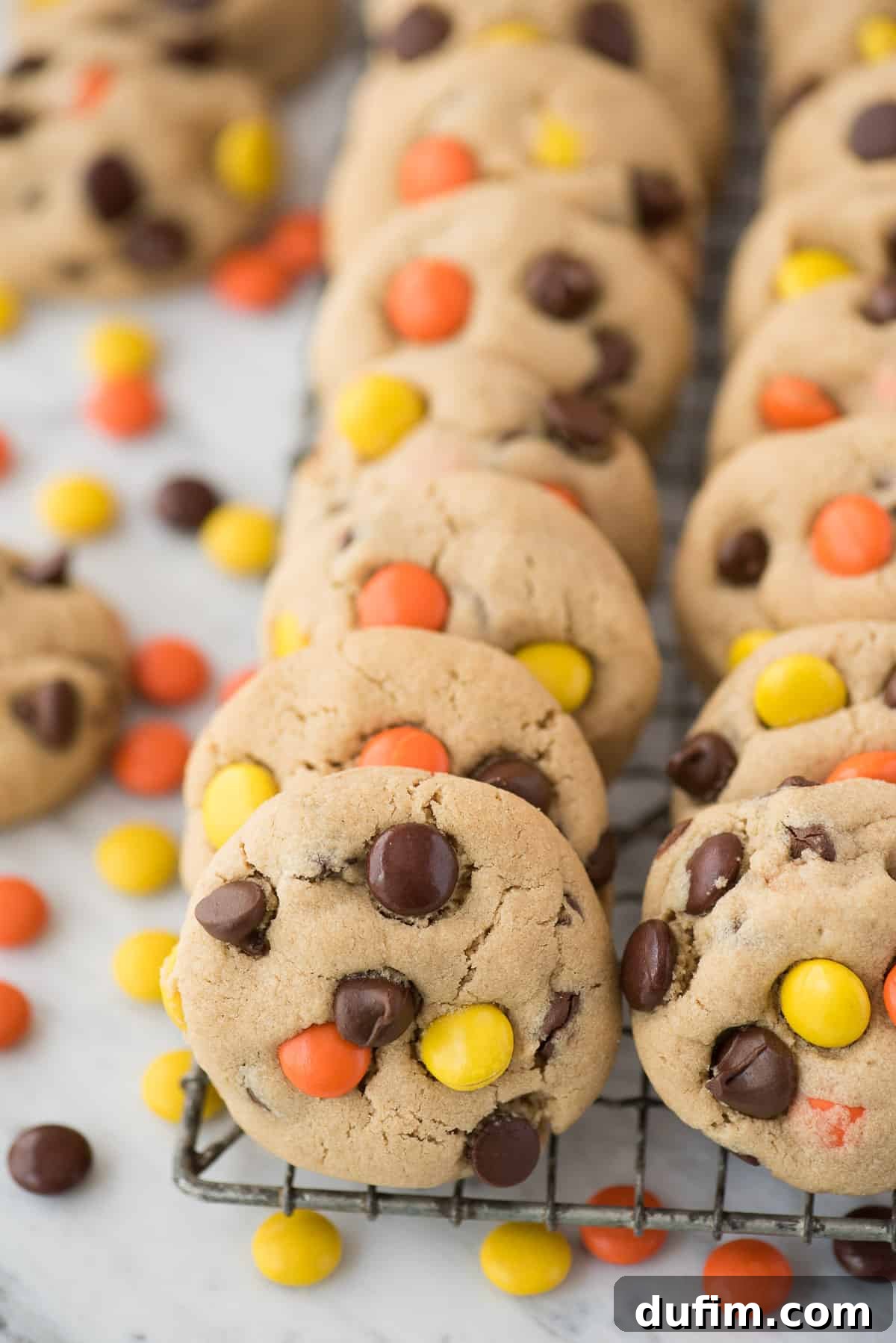 Peanut butter cookies with Reese's Pieces candies and chocolate chips on a white background