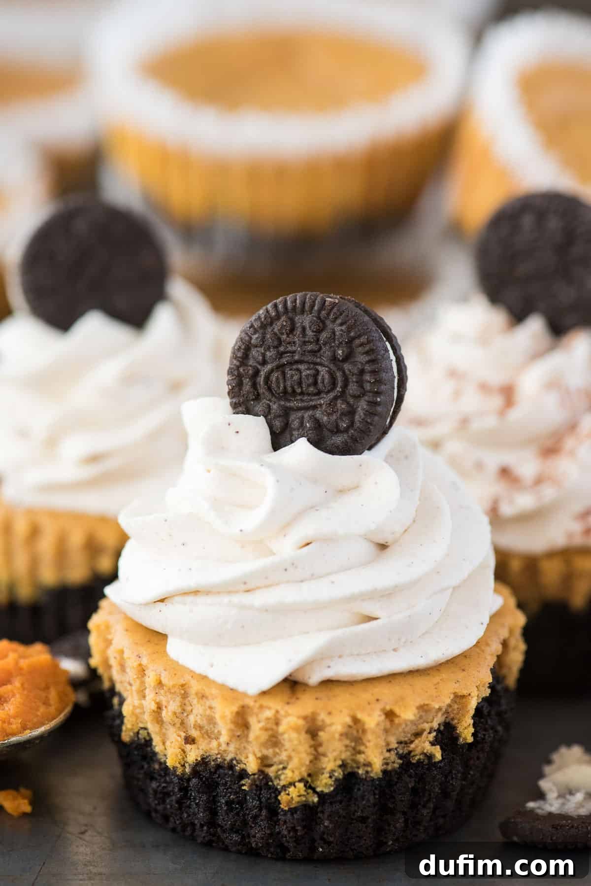 Mini pumpkin cheesecake with oreo cookie crust with swirl of whipping cream and mini oreo on top
