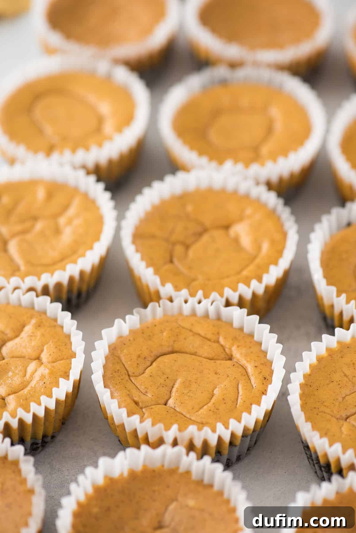 Plain mini pumpkin cheesecakes in a row on gray background