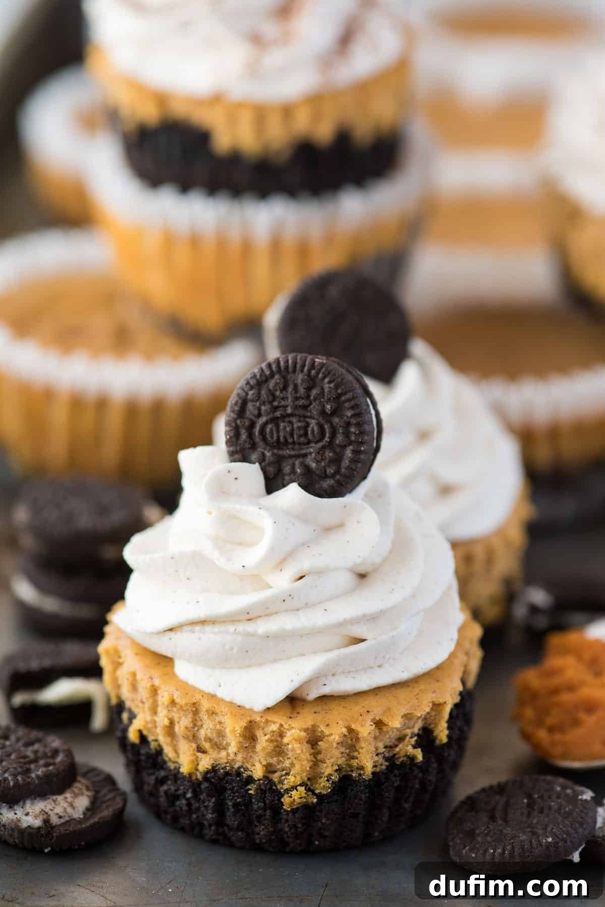 Mini pumpkin cheesecake with oreo cookie crust with swirl of whipping cream and mini oreo on top