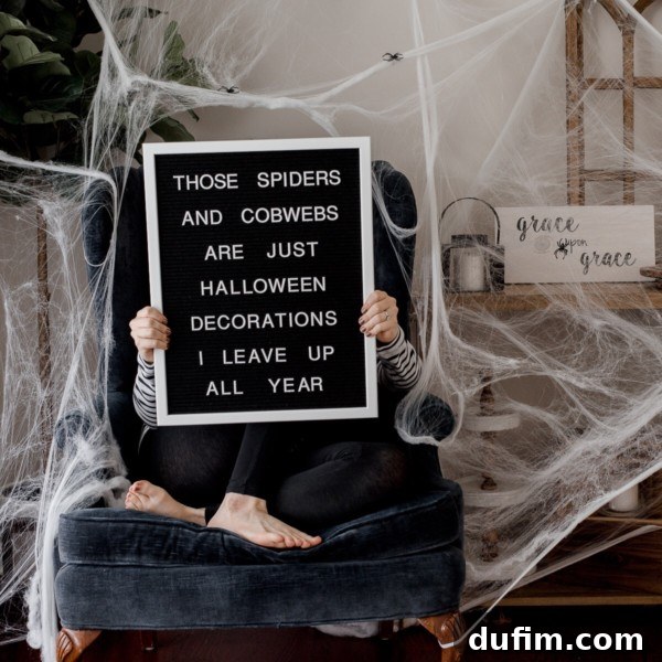 Letterboard quote for October: 'Fall Vibes and Cozy Lives'