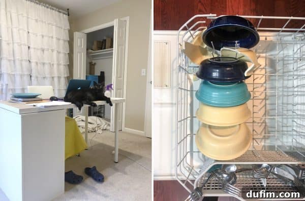 November's Kitchen Escape 4 Split image: Left shows a cat (Salsa) sleeping behind a laptop on a desk. Right shows a cracked, colorful Fiesta ware bowl on a kitchen counter.