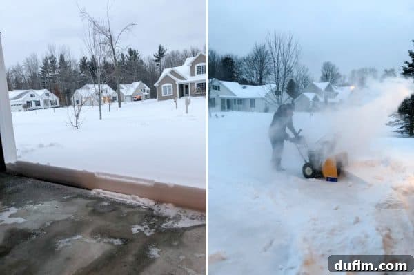 A vast expanse of snow covering a residential area in Michigan during the polar vortex, highlighting the extreme winter conditions.