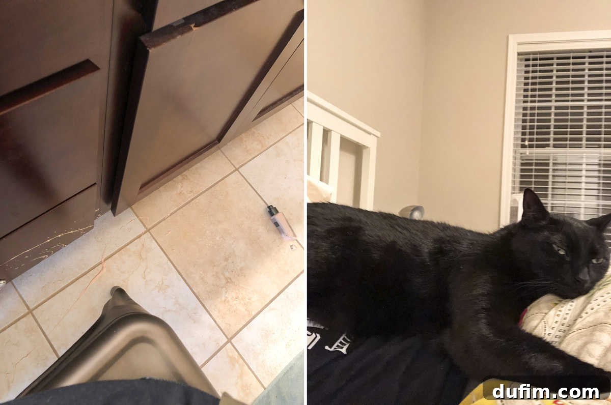 A broken glass jar of foundation spilled across a bathroom counter, representing an everyday mishap, and a close-up of a dog (Salsa) snuggling with its owner, tail in face, showing pet affection.