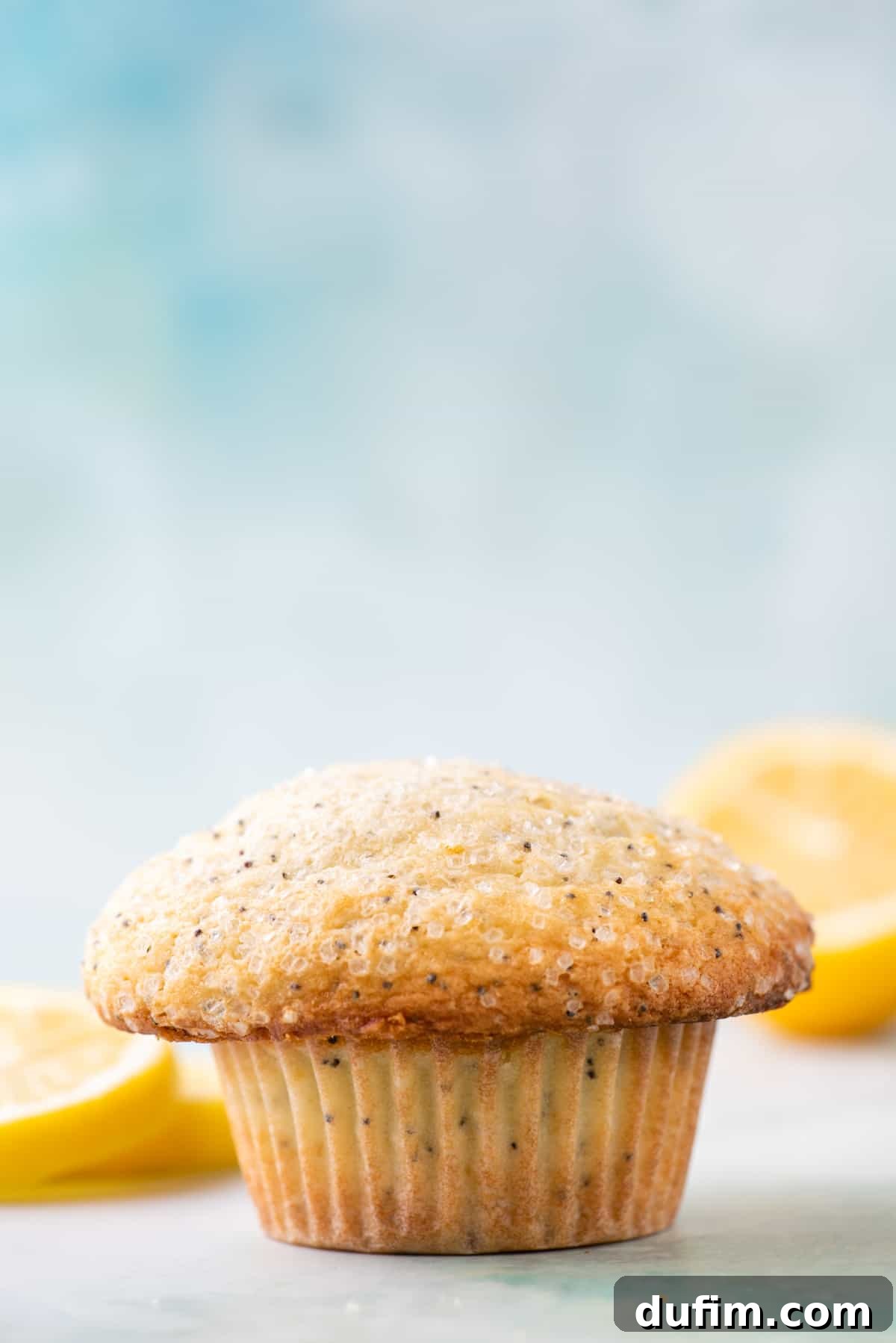 Zesty Lemon Poppy Seed Delights 3 A single, perfectly baked lemon poppy seed muffin stands prominently, with blurred fresh lemon slices positioned in the background, emphasizing its golden crust and impressive domed top.