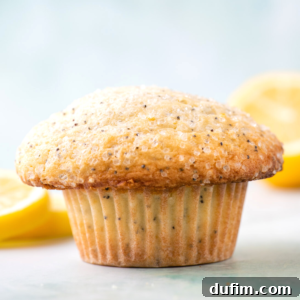A beautifully baked lemon poppy seed muffin, representing the delicious recipe detailed below.