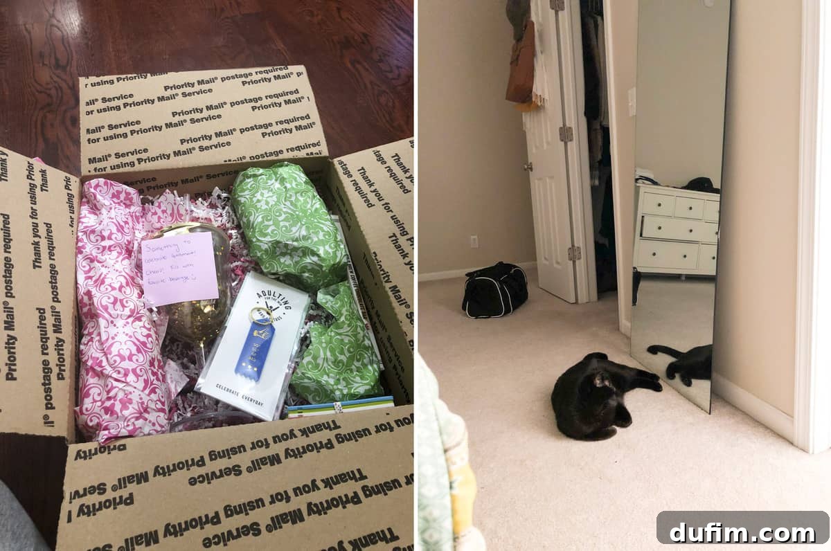 Thoughtful retirement and birthday gift box, alongside our dog Salsa admiring himself in a mirror