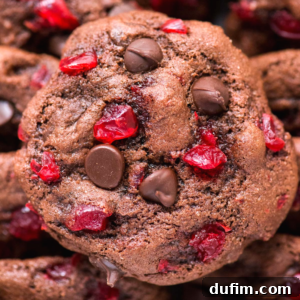 A close-up of a black forest cookie topped with chocolate chips and red dried cherries, showing a soft, rich texture. Other similar black forest cookies are visible in the background.