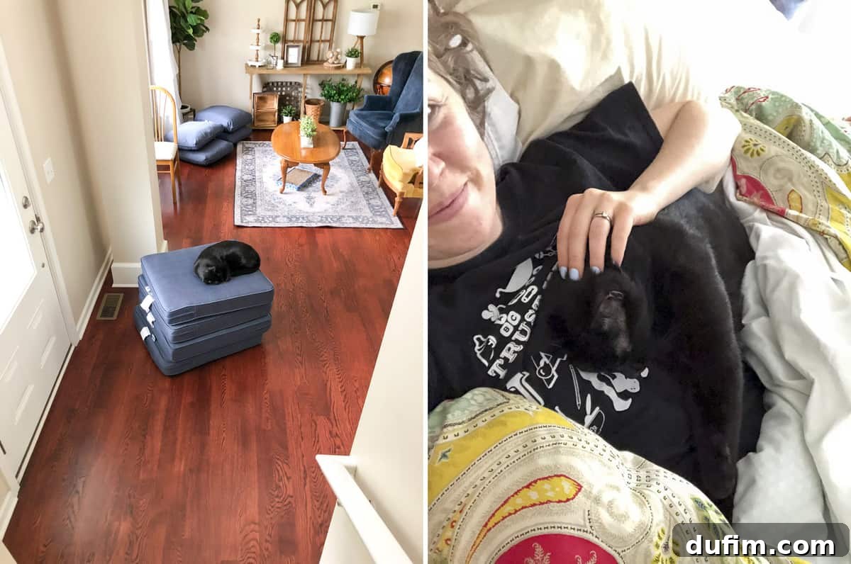 A two-part image: one showing a cluttered office desk with various photography props and equipment, and the other depicting a person diligently raking leaves and debris in a yard.