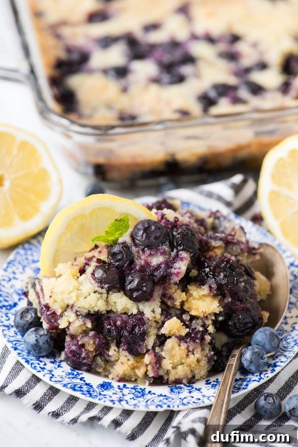 Zesty Lemon Blueberry Bake 5 A serving of Lemon Blueberry Dump Cake on a blue floral plate, garnished with a fresh lemon slice and a vibrant green mint leaf, highlighting its rustic charm.