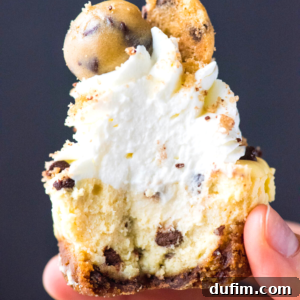 A hand holds a mini cookie dough cheesecake topped with whipped cream, chocolate chips, cookie crumbles, and a small ball of cookie dough, set against a dark background.