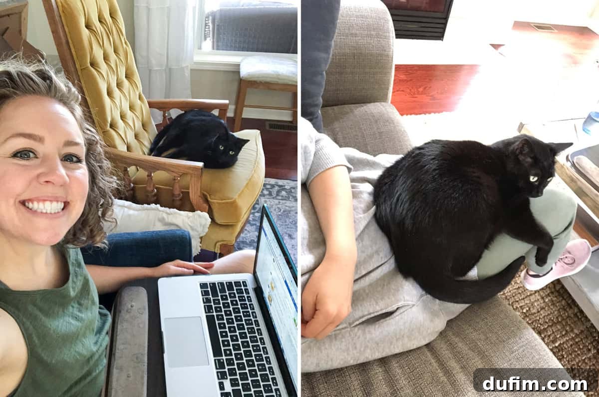 Salsa, the loyal family dog, resting peacefully beside the author's work setup, embodying quiet companionship and comfort during the day.