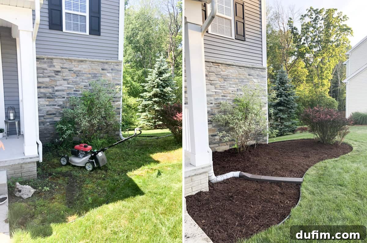 A compelling before-and-after visual of a neglected garden area, transitioning from an overgrown 'weed pit' to a clean, aesthetically pleasing mulched space.