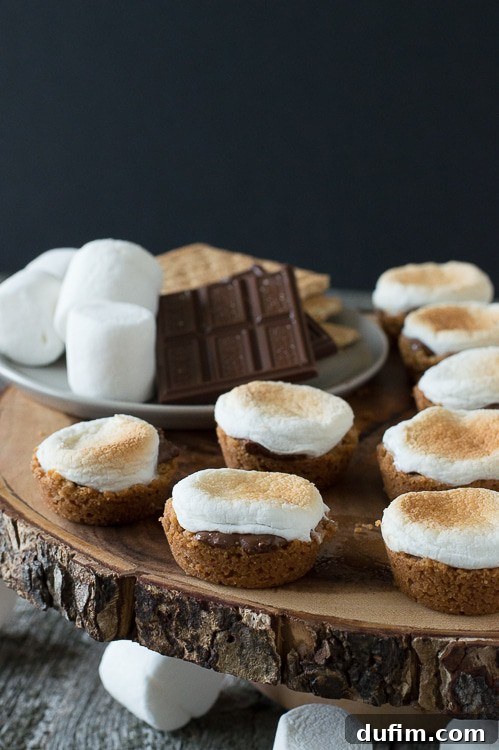 S'mores Poppers 3 Close-up of S'mores Bites with perfectly toasted marshmallow tops, arranged on a rustic round wooden cake stand.